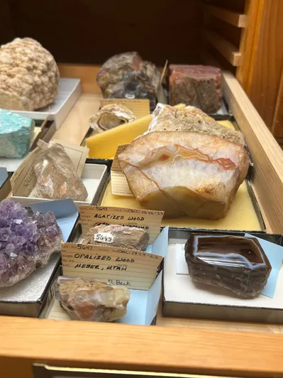 Colorful minerals are big chunks of purple, peach and. brown that's so polished, it reflects overhead lights