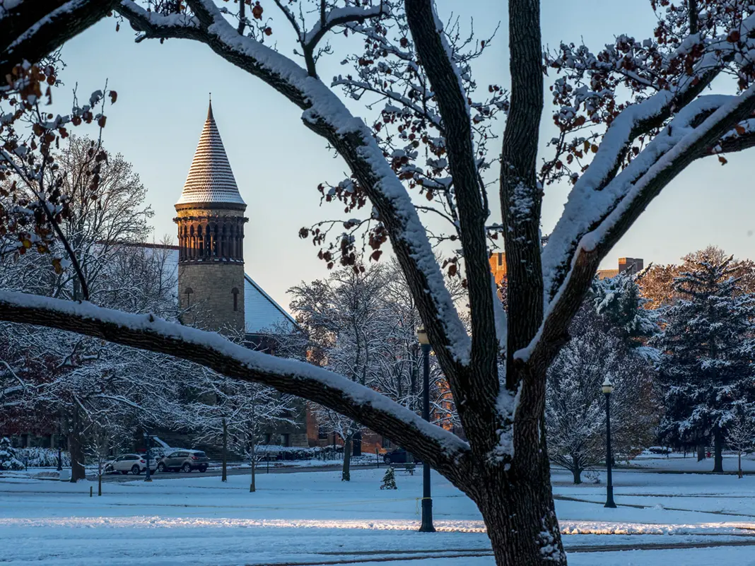 Oval with snow