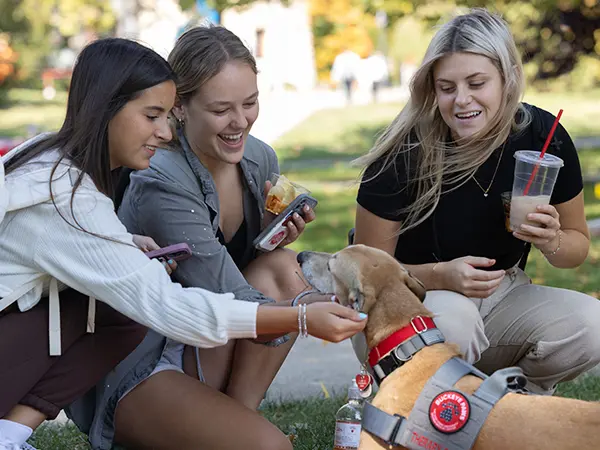 A greyhound lying on a blanket in the grass gets attention and pets from three smiling young women, whose hair is blowing in the wind. The trio holds snacks and cellphones in the hands they’re not using to pet the dog.