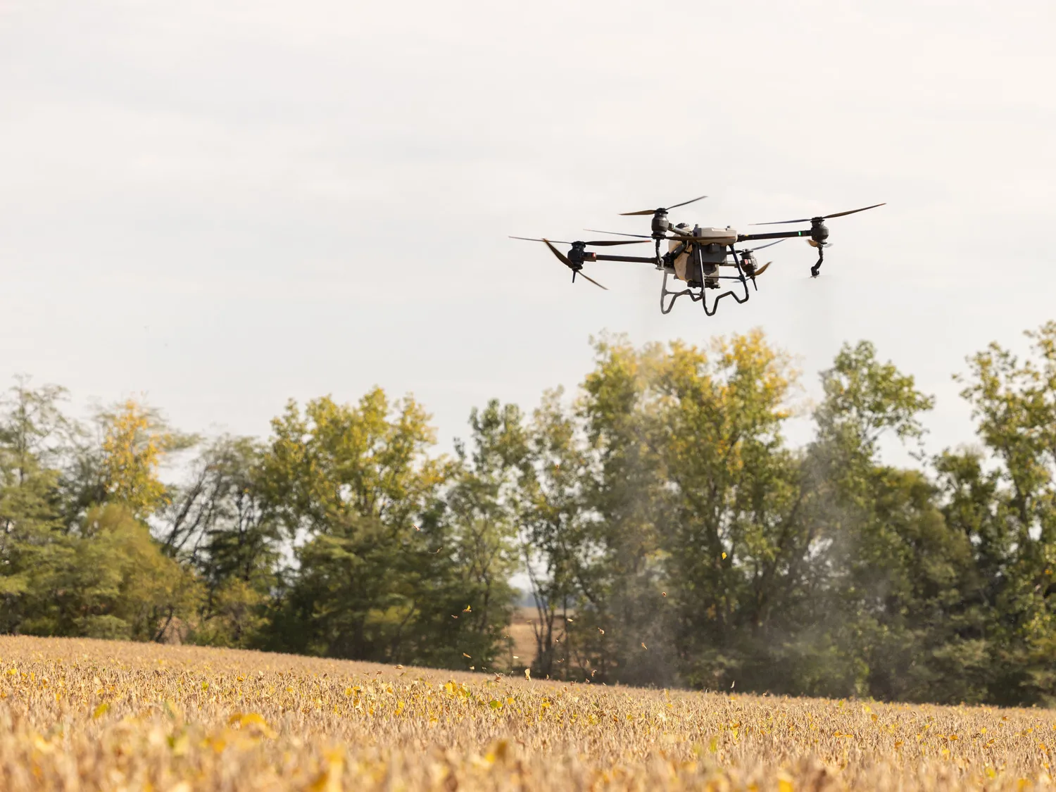 A drone flies above an out-of-focus field that is likely winter corn. In the distance there is a line of trees. The helicopter-like drone has three propellers pointing up, two sprayers on propeller arms pointing down, and thick wire stands hanging down from front and back. 
