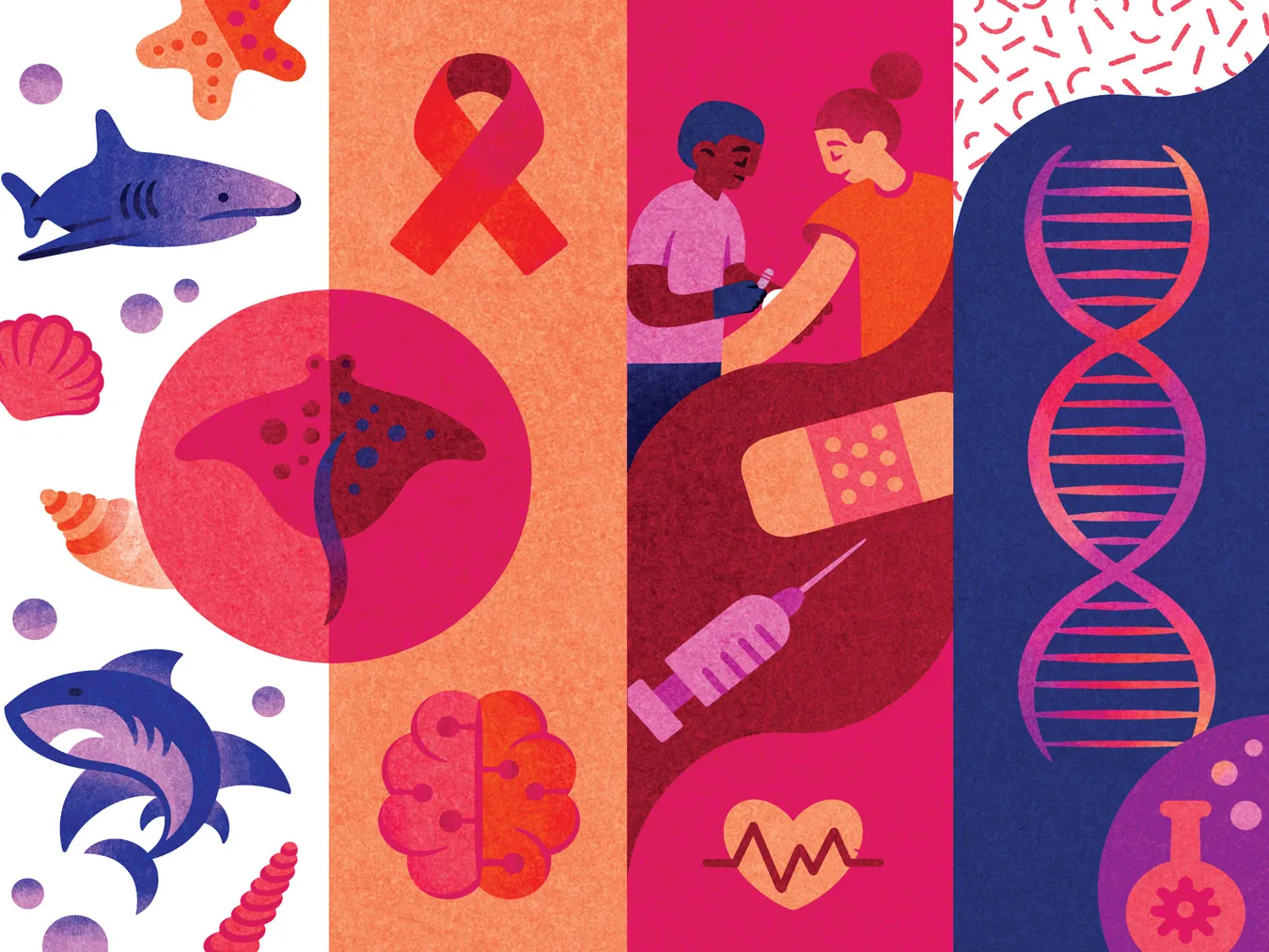 A vector illustration shows a line of tall panels, each representing a project completed by one of the 10 students below. The images include a doctor and Peru, sharks and sea shells, brain, nurse putting a band-aid on a patient and DNA. Wavy lines and patterns crossing the panels make the whole feel cohesive and dynamic.