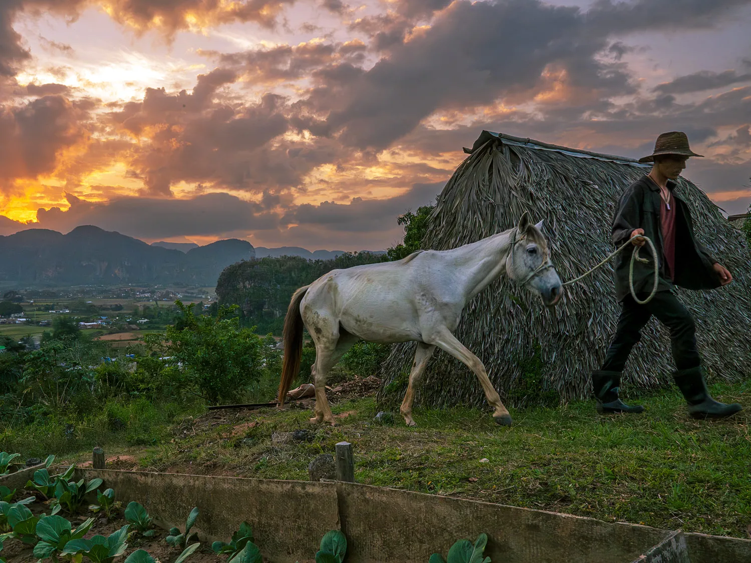 On top of a hill, a man walks his horse with a rope halter past a neat pile of thatch and neatly sectioned off patches of vegetables. Surrounding the vegetable patches are boards about 1 to 2 feet high. In the distance are a small town and mountains. The sun is setting, so rays of light shoot across the sky, making the fluffy clouds darker with illuminated edges. 