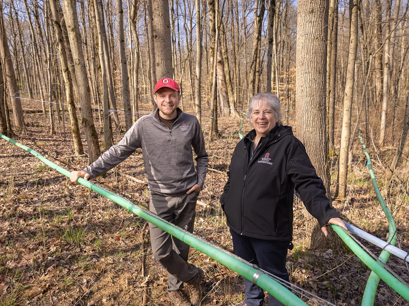 Two people wearing Ohio State-branded sweatshirts stand in woods during winter. Green tubes weave between the trees and around the people, who are laughing as they look at the camera. Hints of bright green grass peaking through the forest floor suggest spring is in the air.