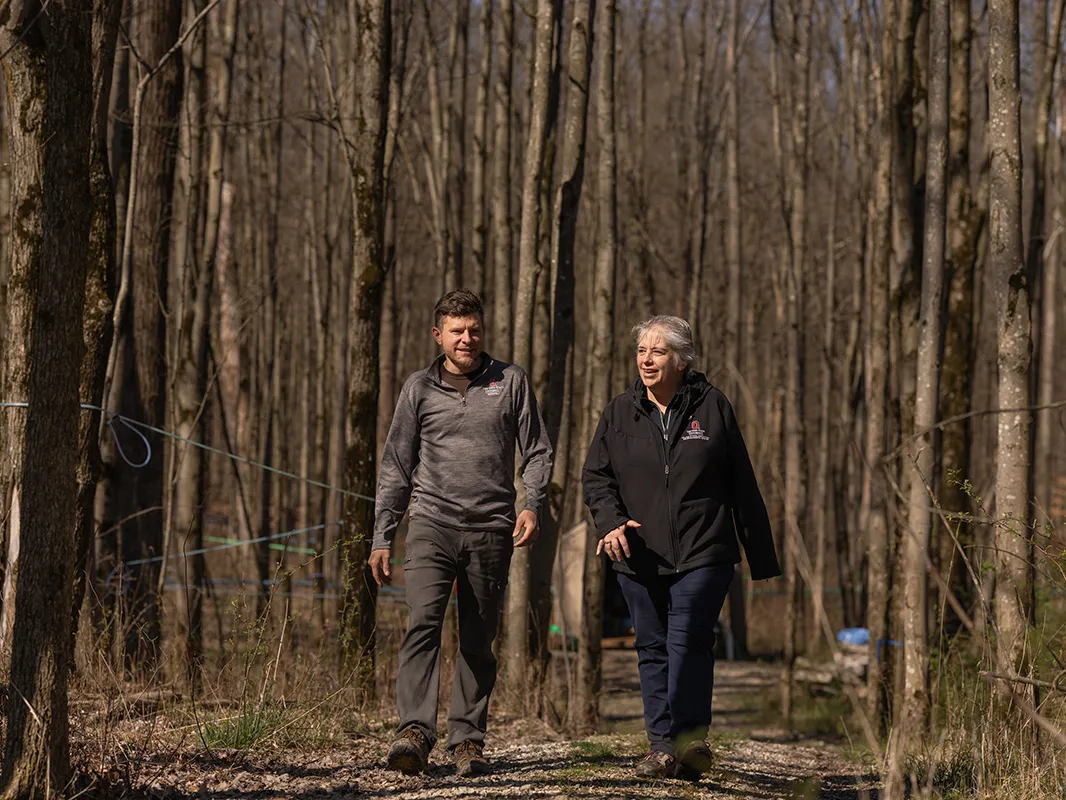 A man and a woman walk through woods in the wintertime. The woods, mostly maple syrup producing varieties, are near Ohio State's Mansfield campus