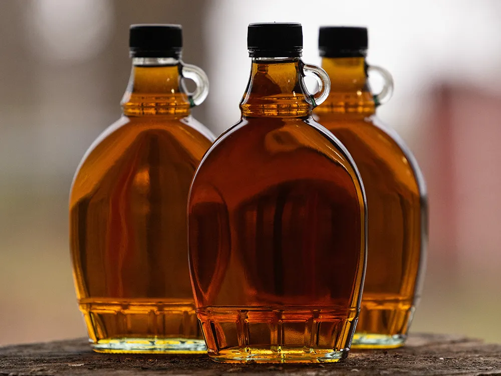 Light shines through three bottles of maple syrup sitting on a stump in the woods.