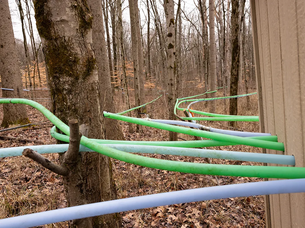 Eight flexible plastic tubes weave through trees and converge into holes drilled into the back of a shedlike building