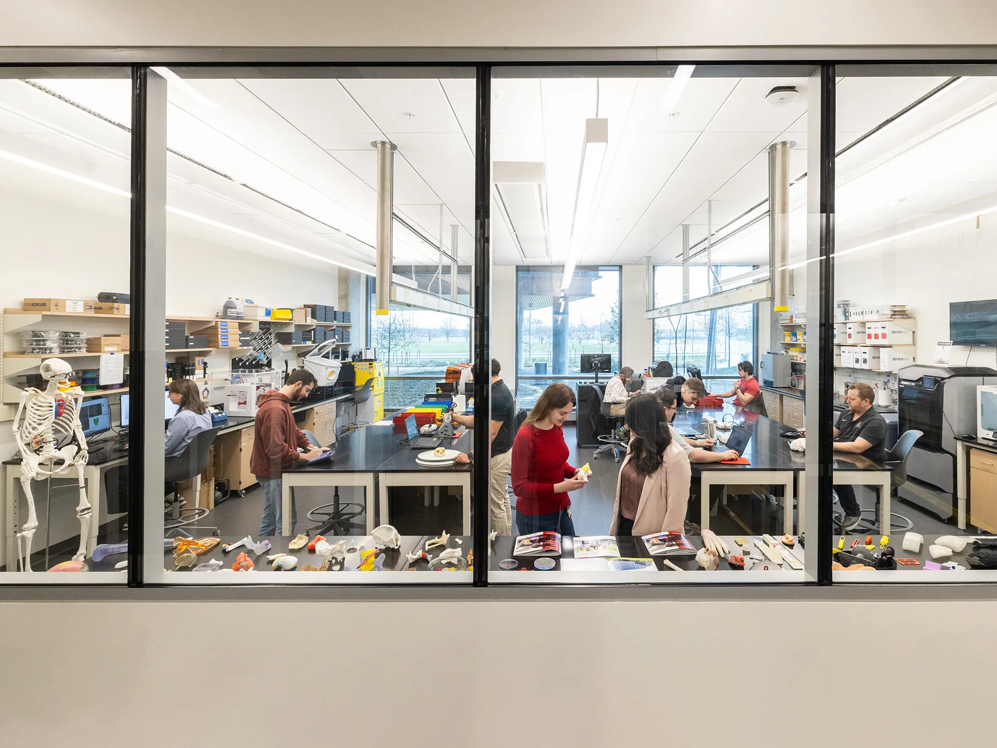 People at work in a lab sit at long tables or look at items on a display table along the full-width windows that let passers-by see into the work being done in thi slab. A plastic skeleton stands at right, and the people are mix of men and women