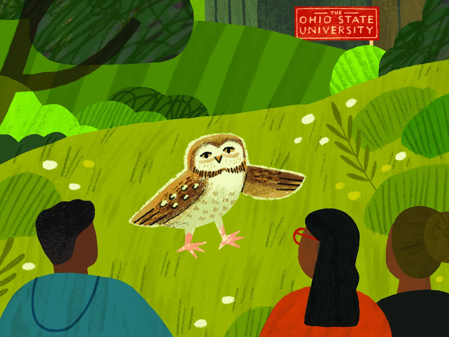 An illustration shows a trio of people watching an injured owl that they will help rehabilitate. In the distance is a sign that says &quot;The Ohio State University&quot;