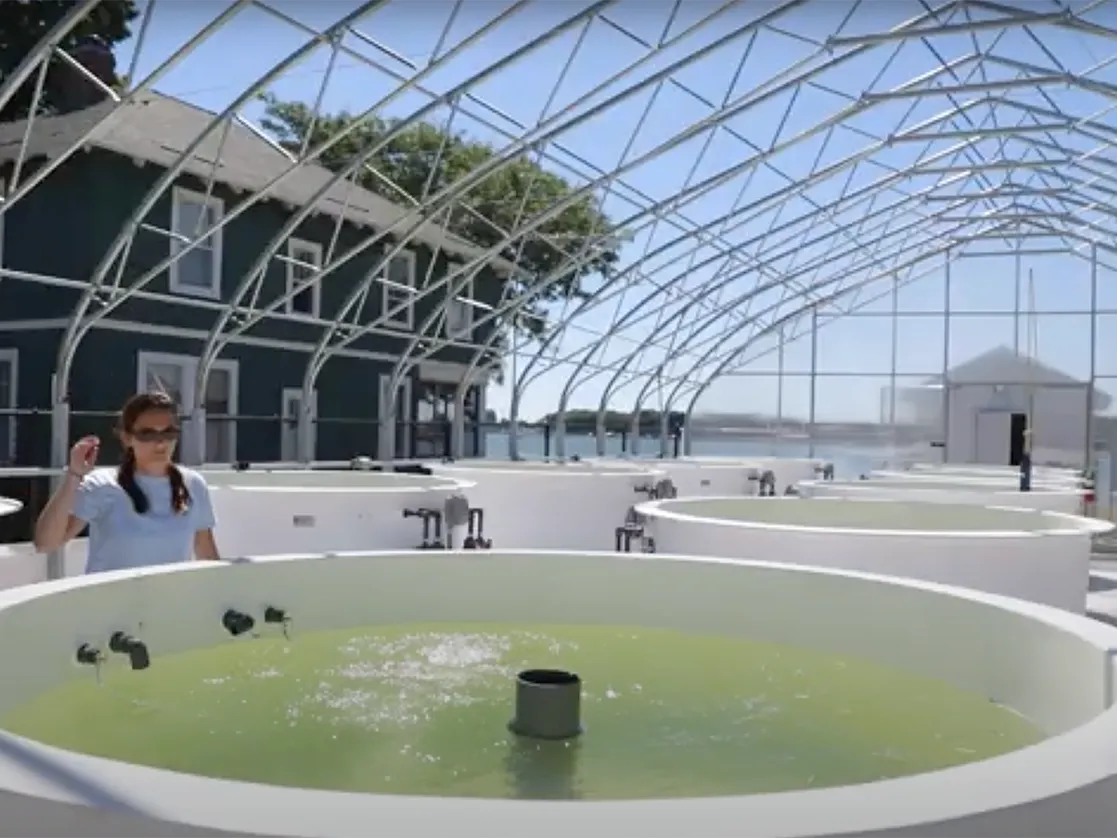 Giant concrete cylinders hold water pumped in from Lake Erie under a metal awning.