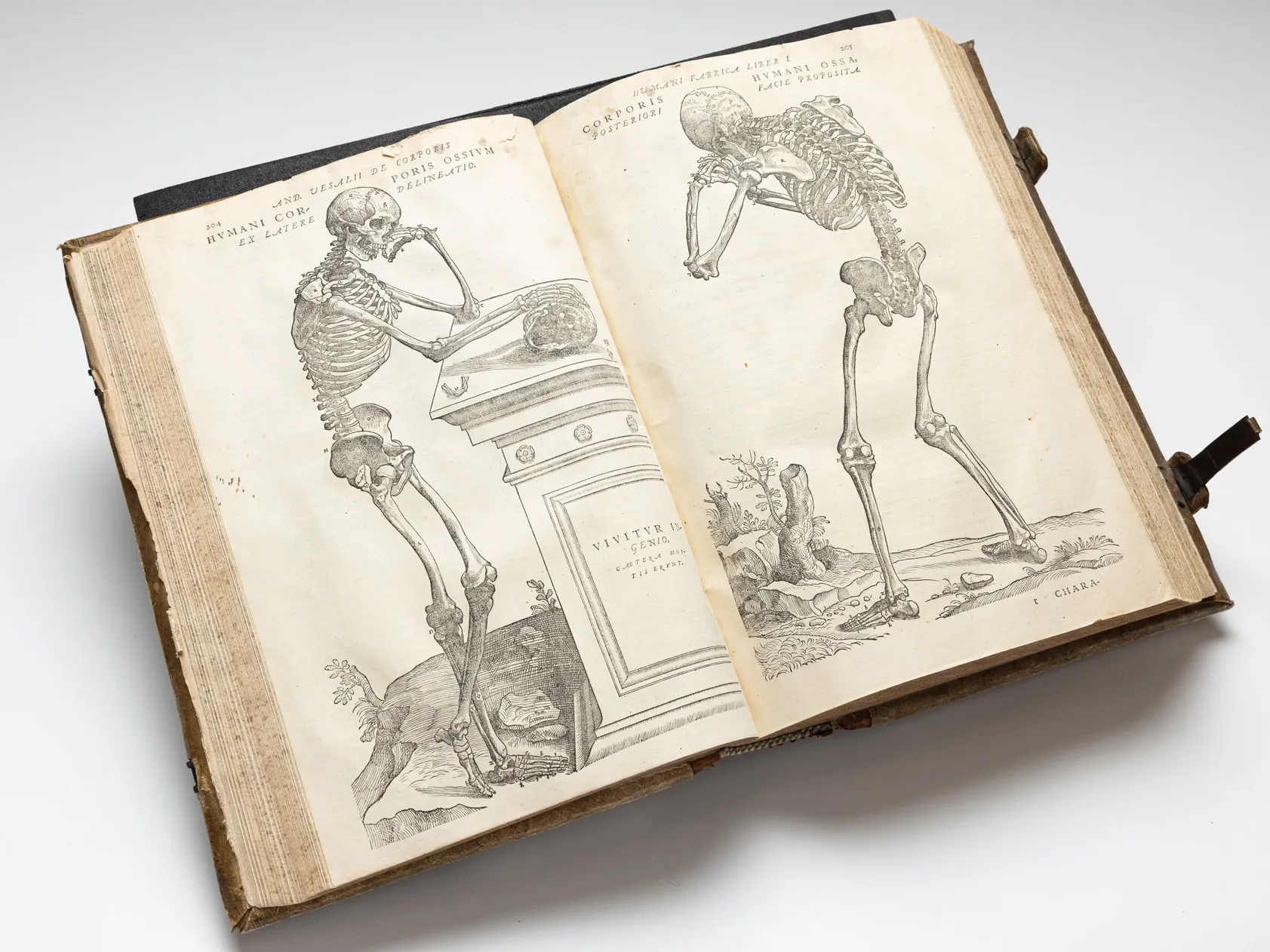 This photo shows a very thick book spread open. An illustration of a skeleton is on each page. On the left, one rests its head on a hand while leaning on what is perhaps a grave stone pedestal. Its other hand rests on a skull. On the right, the skeleton is seen from behind with it&#039;s arms and hands at its head, as if rubbing its eyes.