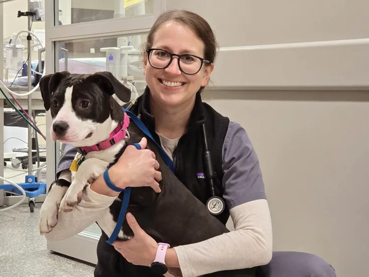 DR. Kristin Miles smiles while posing for a photo holding her own dog, Mookie, a black-and-white medium sized pooch.