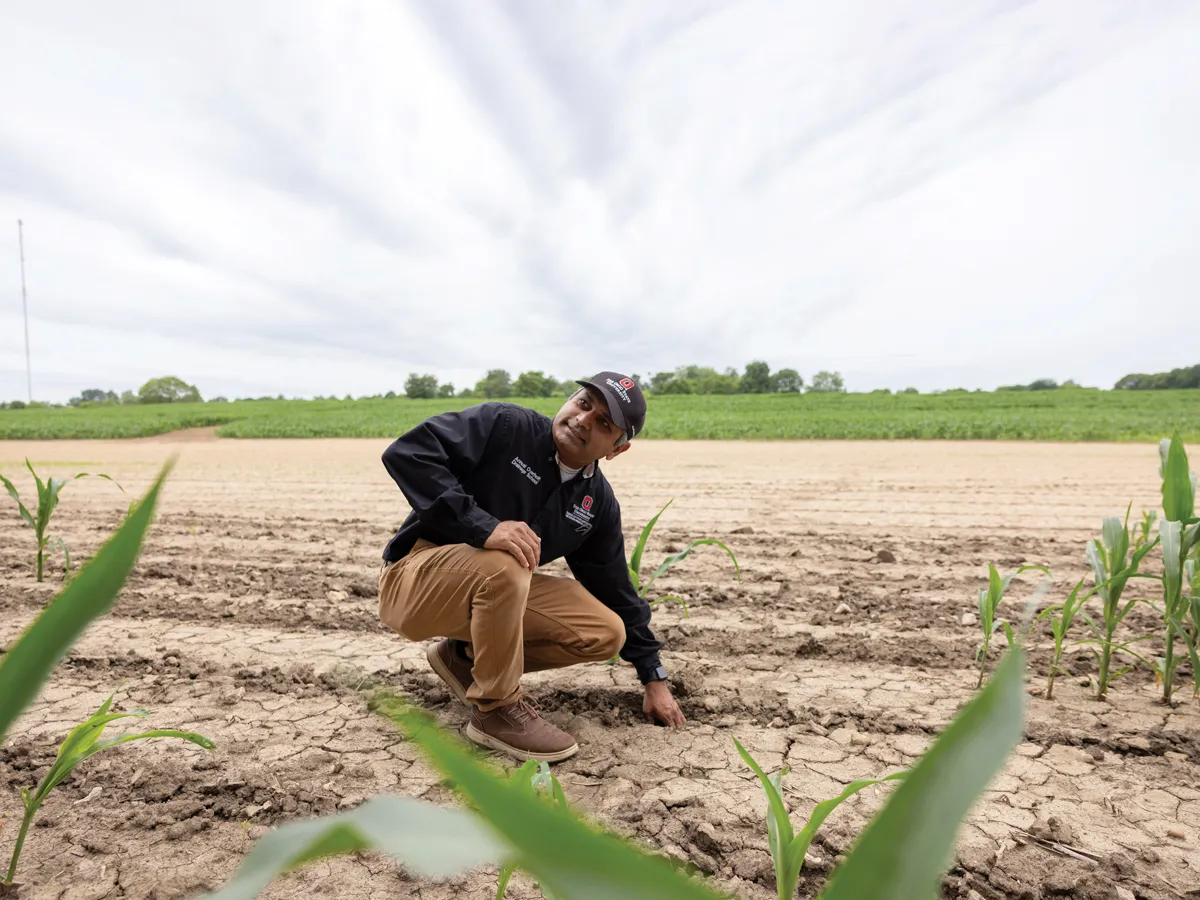 Ohio State Assistant Professor Vinayak Shedekar crouches in a dry corn field in the spring. He feels the soil with one hand and smiles. 