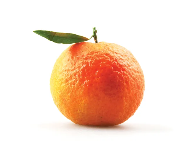 A freshly picked orange with a leaf still attached