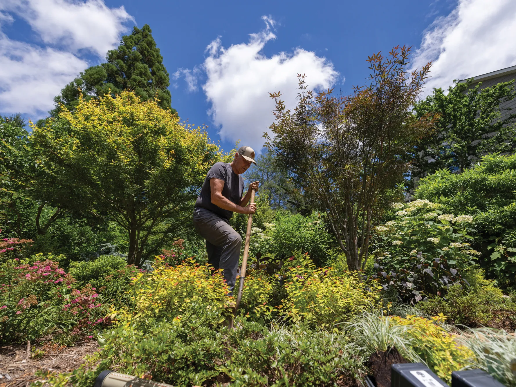 Chuck Hutchison digs with a tall shovel in the middle of a flower bed. He's surrounded by lush greenery he planted and a beautiful sky with cotton candy puff clouds.