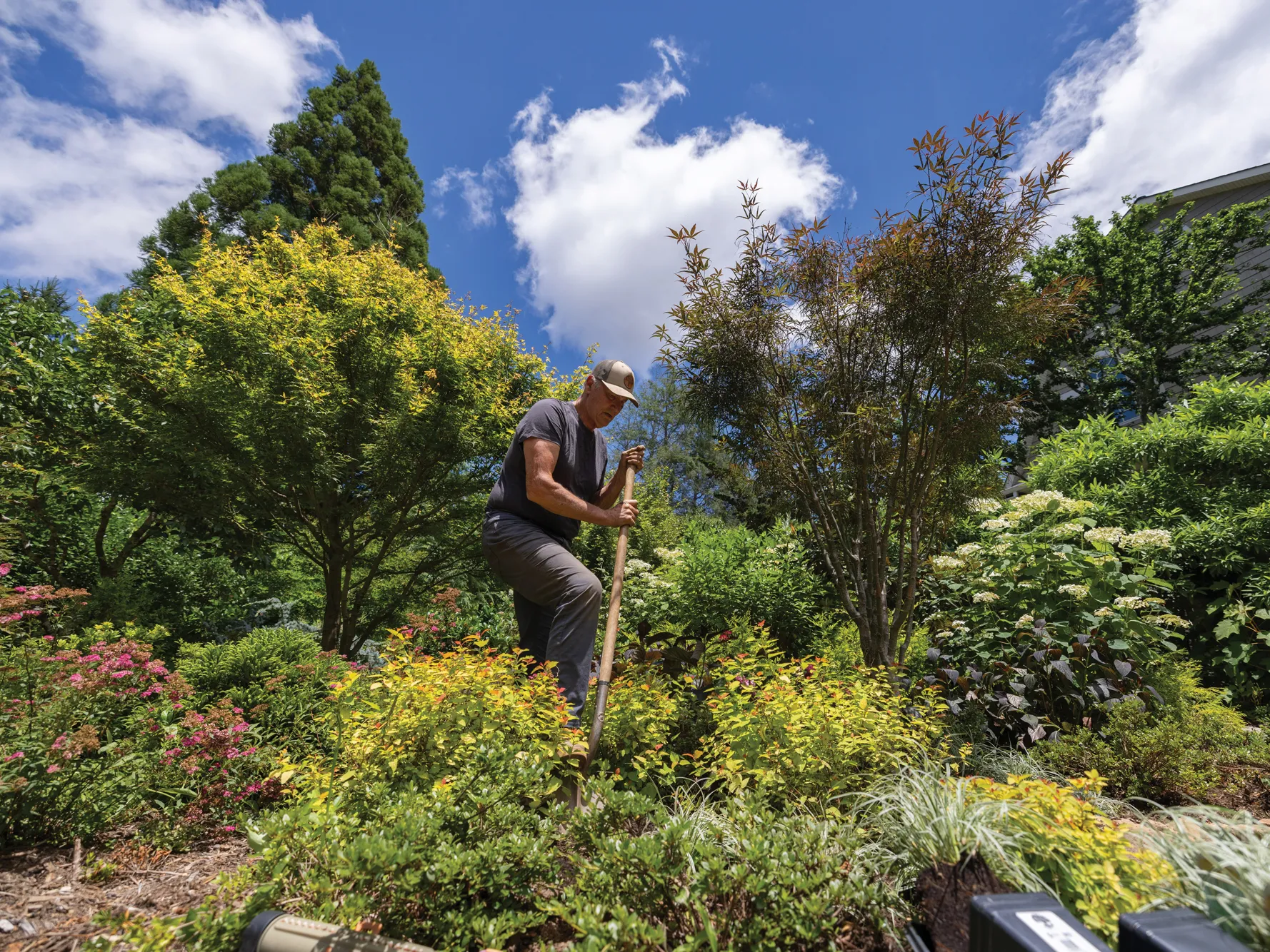 Chuck Hutchison digs with a tall shovel in the middle of a flower bed. He's surrounded by lush greenery he planted and a beautiful sky with cotton candy puff clouds.