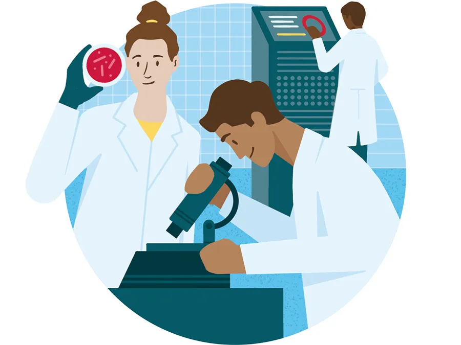 An illustration shows scientists looking through a microscope and at petri dishes